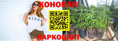 ПСИЛОЦИБИНОВЫЕ ГРИБЫ Малоярославец